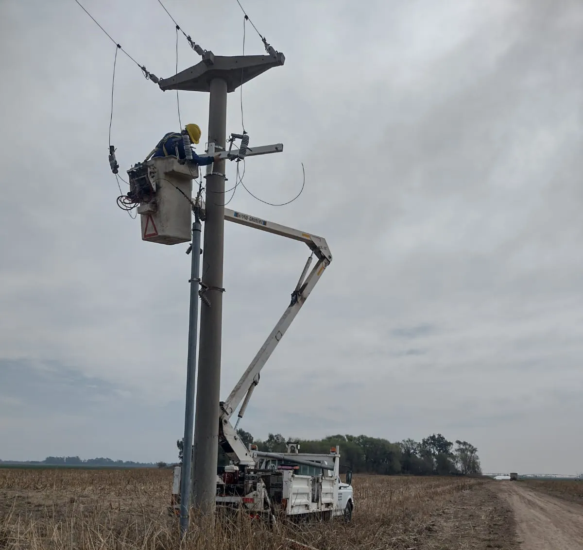 WhatsApp Image 2024-12-10 at 22.37.28