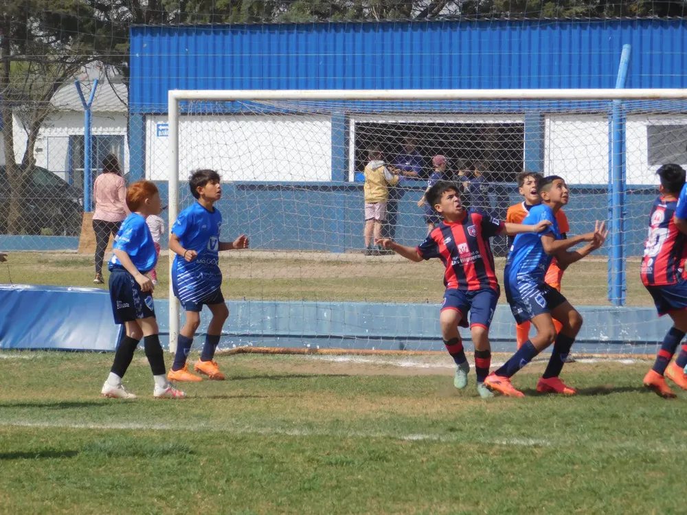 WhatsApp Image 2024-09-23 at 16.51.37 (5)