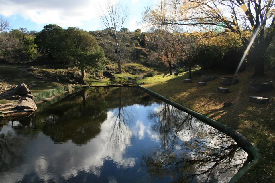 299382910_413441934103211_5422092659603915198_n