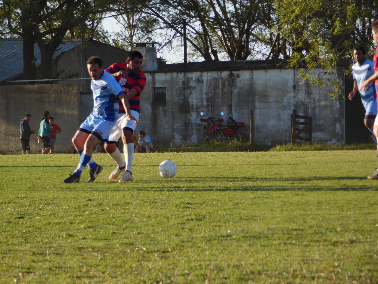 Profesionales Senior Campeones (26)