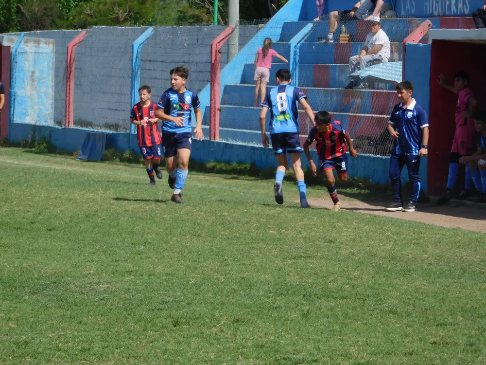 WhatsApp Image 2024-10-12 at 11.09.54 (23)