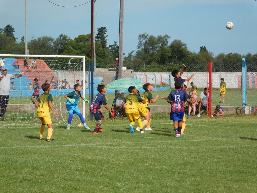 WhatsApp Image 2024-03-05 at 14.30.51 (12)