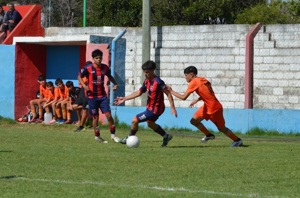 WhatsApp Image 2025-03-31 at 16.38.25