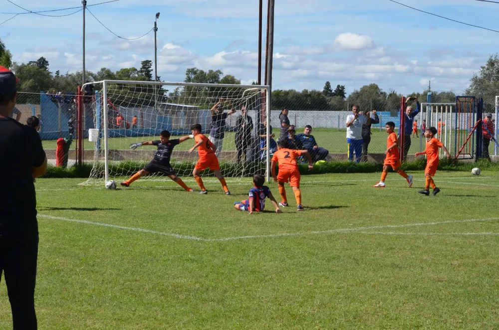 WhatsApp Image 2025-03-31 at 16.38.26