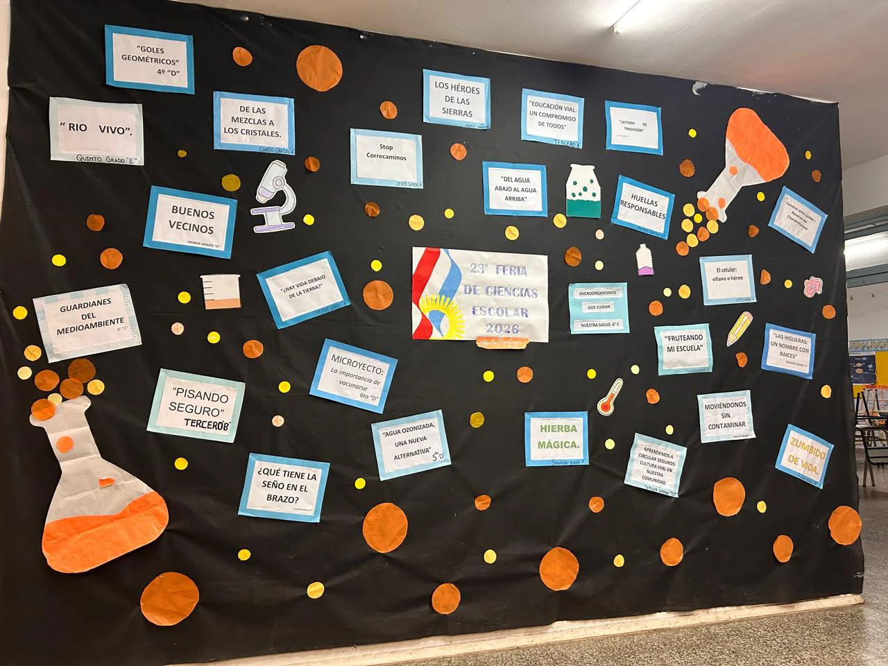 FERIA DE CIENCIAS (3)
