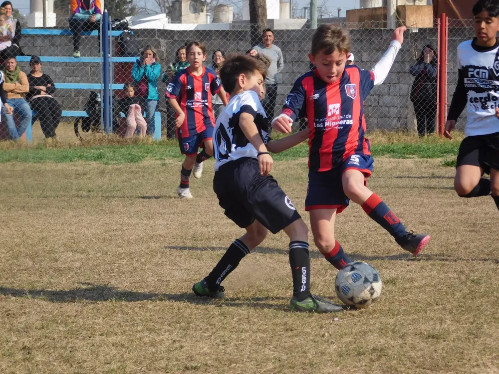 WhatsApp Image 2024-08-19 at 15.07.52 (16)