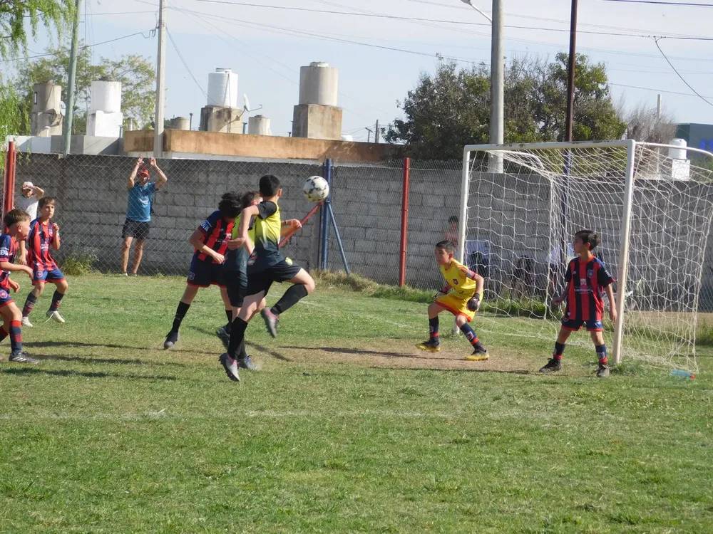 WhatsApp Image 2024-09-29 at 20.26.31 (25)