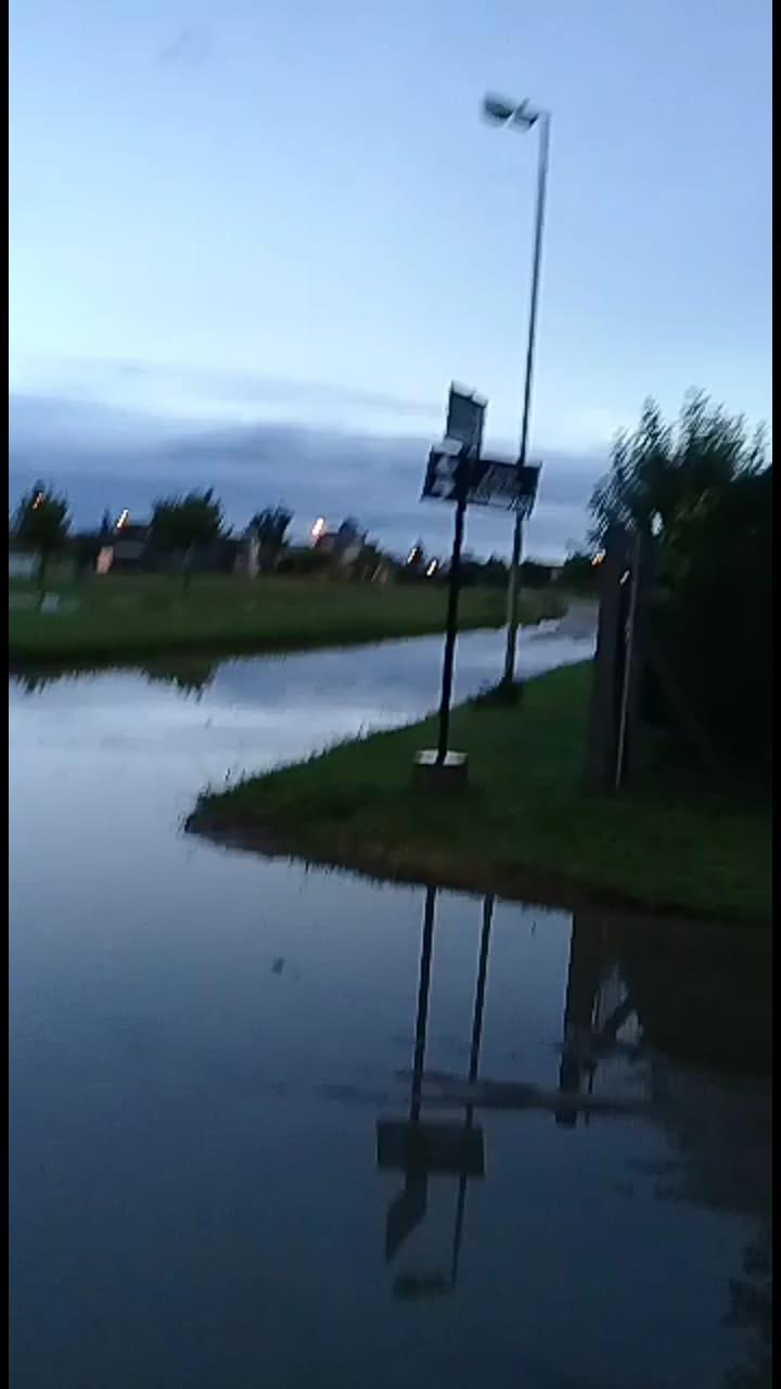 CALLES LOS TILOS