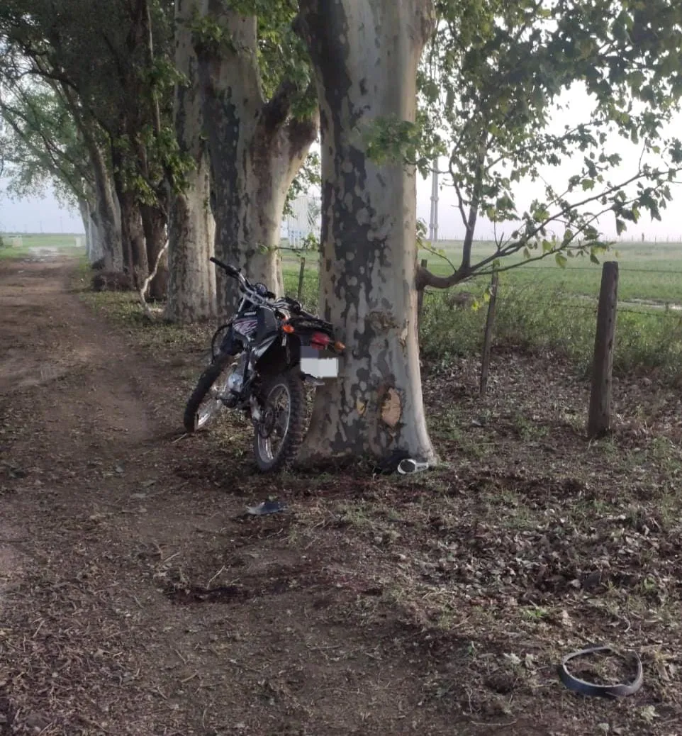 Imagen de WhatsApp 2023-10-29 a las 23.16.10_912829d3