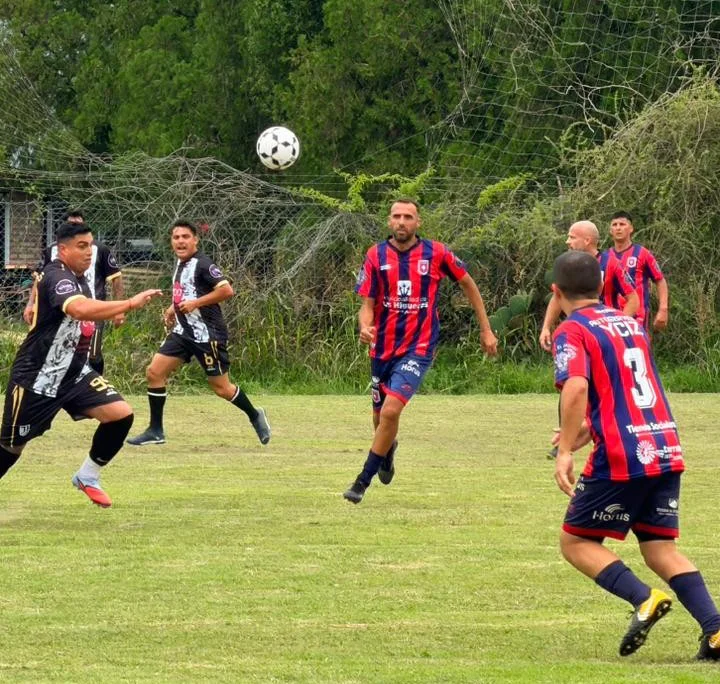 WhatsApp Image 2026-03-29 at 22.07.48