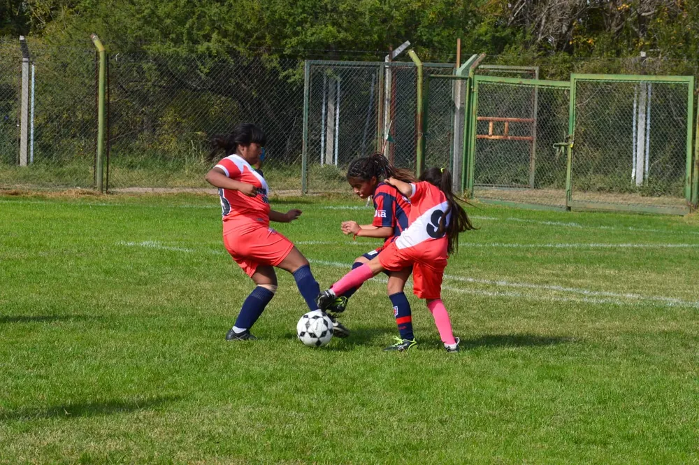 Infantiles Juveniles Centro Social San Lorenzo Bulnes Ateneo Vecinos Argentinso Jrs (5)