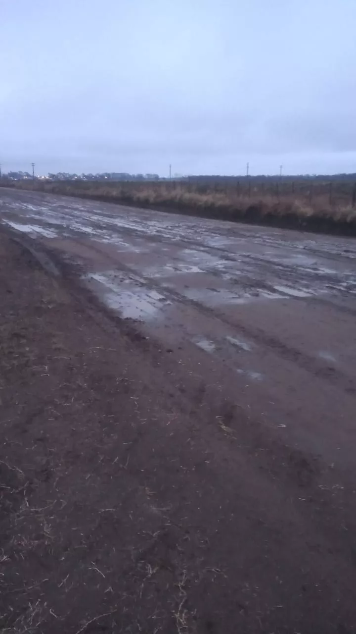 WhatsApp Image 2022-08-08 at 6.40.27 PM