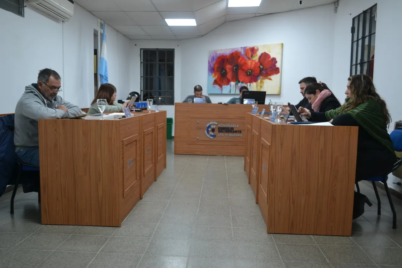 concejo deliberante