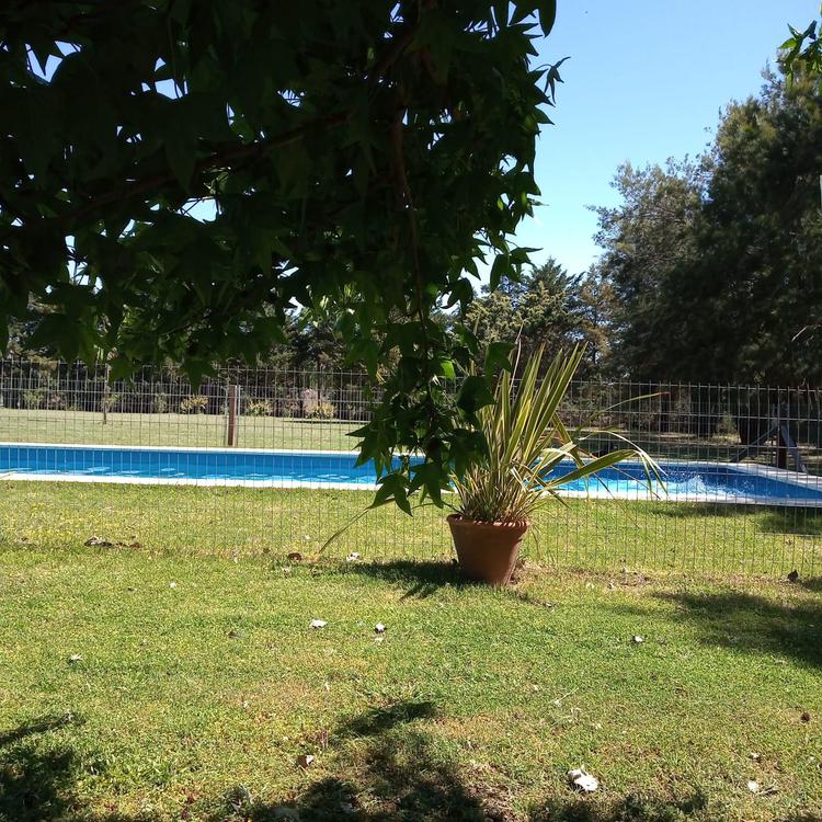 ESPACIO NATURAL (8)