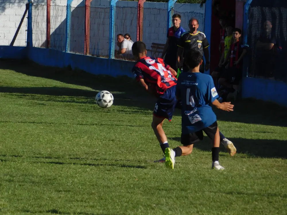 WhatsApp Image 2024-11-04 at 19.12.47 (4)