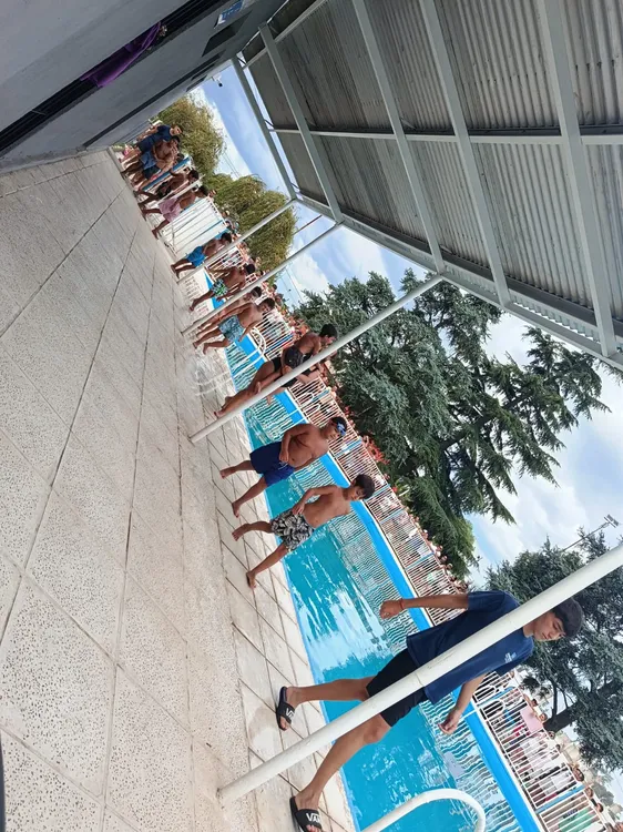 MUESTRA DE NATACIÓN (6)