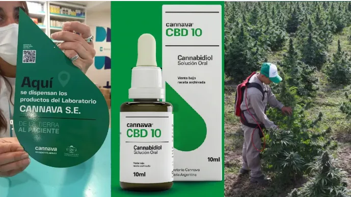 cbd10a