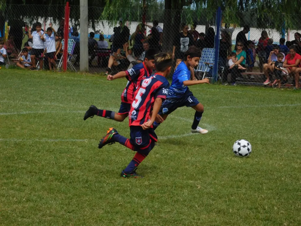 Infanto Juveniles Fecha 1 2024 (44)