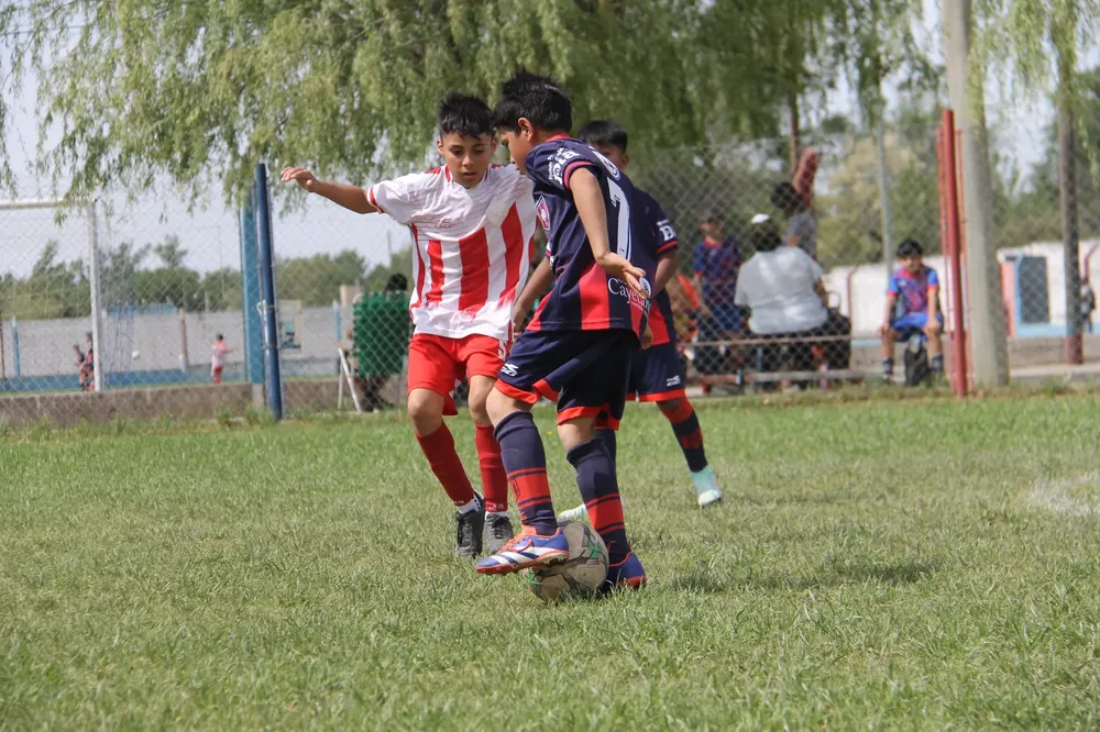 IMG-20251015-WA0116