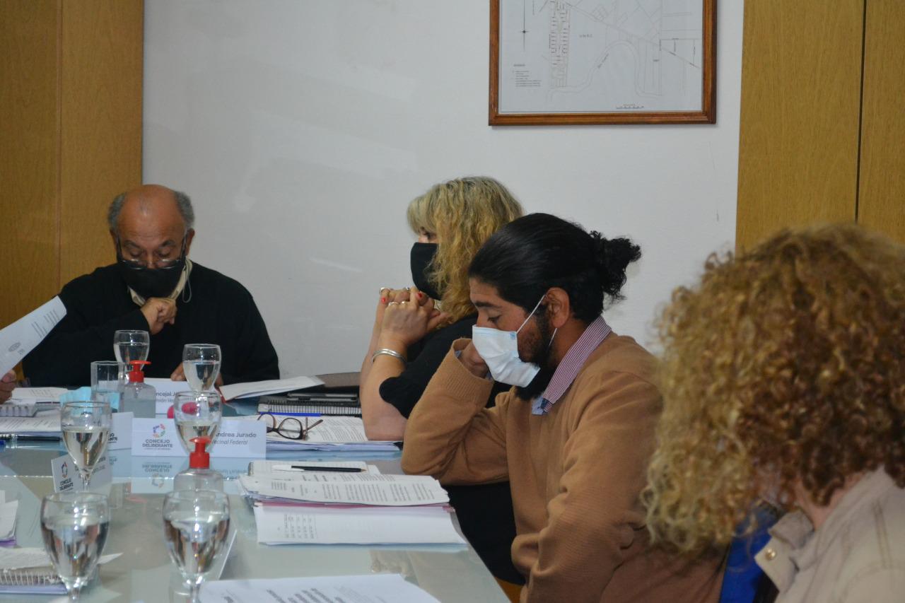 Concejo Deliberante Las Higueras (10)