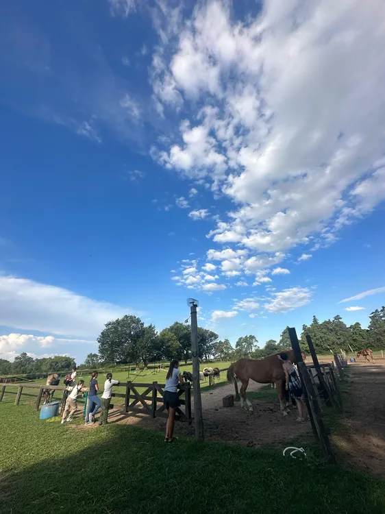 EQUINOTERAPIA Y MONTA (4)