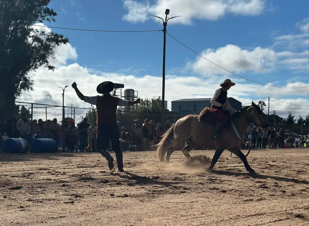 JUEGO RIENDAS1