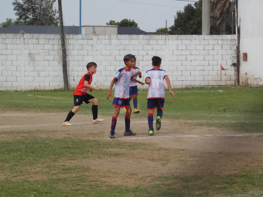 WhatsApp Image 2024-11-17 at 18.08.18 (11)