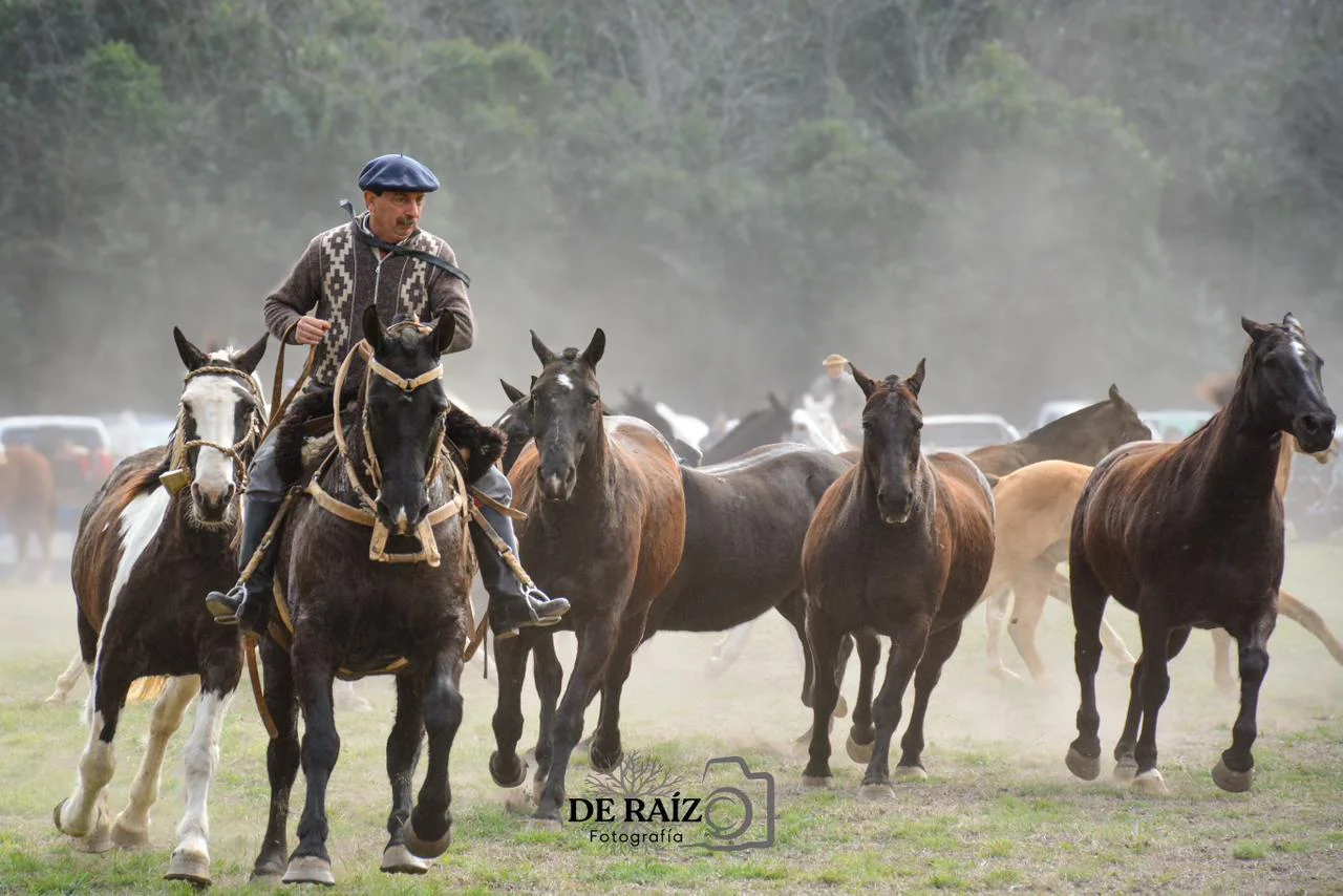 de raiz (1)