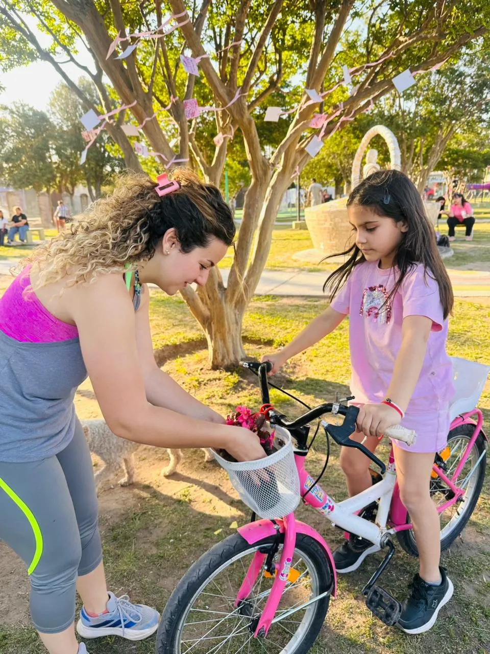OCTUBRE ROSA PLAZA (8)