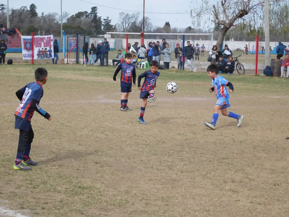 Centro Social Las Higueras Infanto Juvenil Ateneo Vecinos (249)