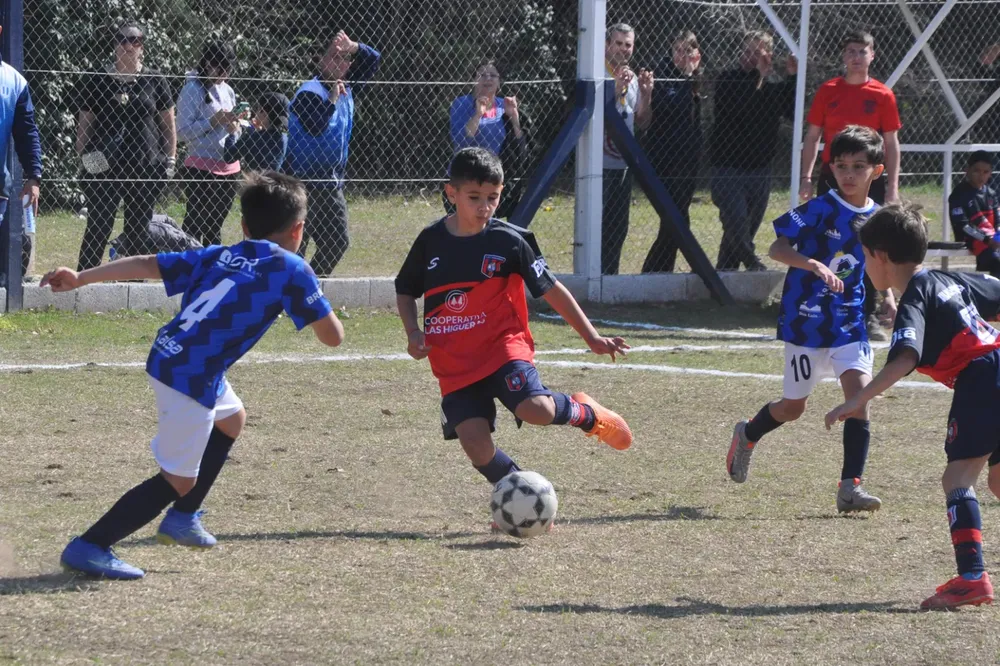 Centro Social Infanto Juvenil Renato Cesarini Olaeta Socialeritas (265)
