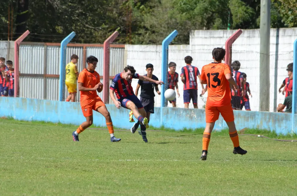 WhatsApp Image 2025-03-31 at 16.38.25 (3)