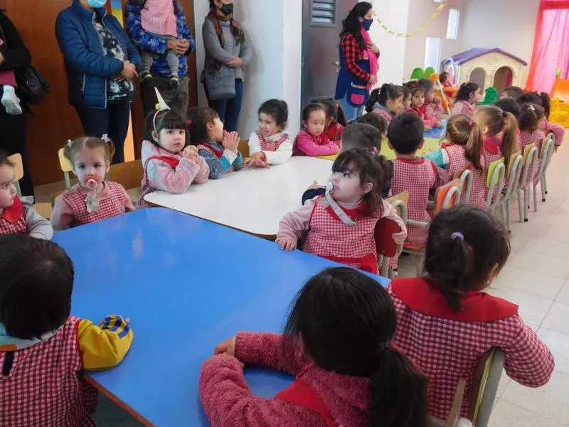 EPI FRANCA ROSA (45)