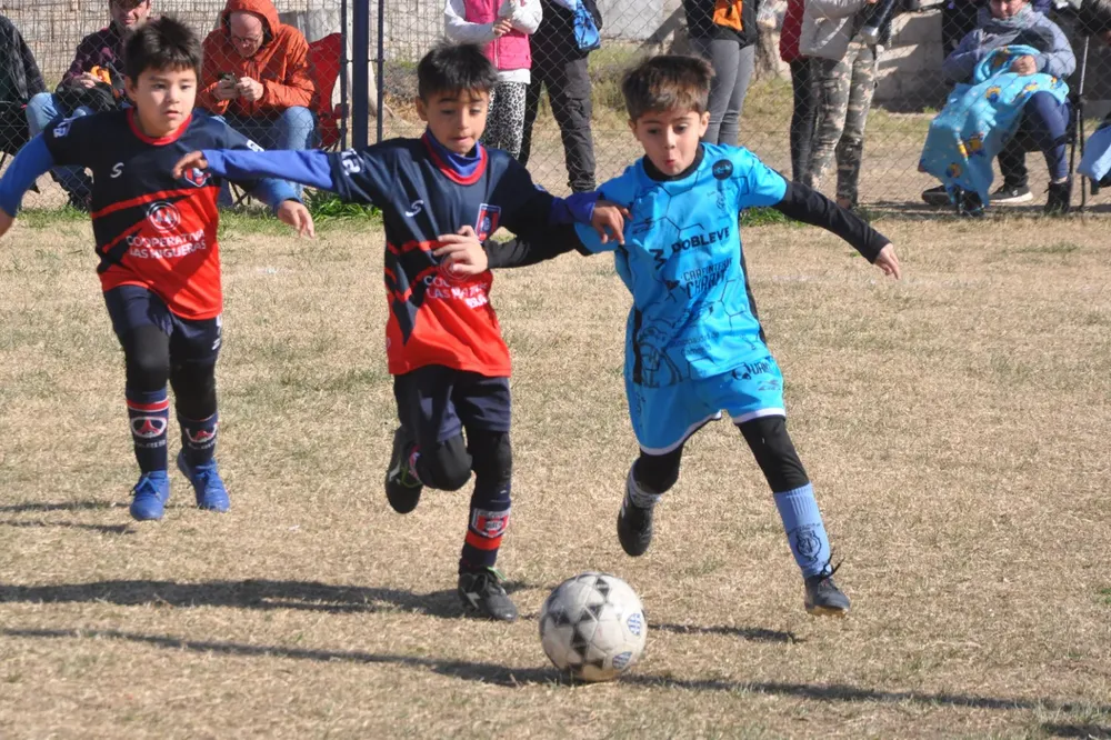 WhatsApp Image 2023-07-02 at 13.33.11 (4)