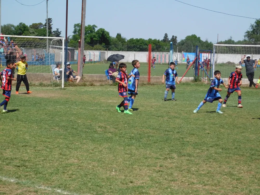 WhatsApp Image 2024-10-12 at 11.13.06 (25)