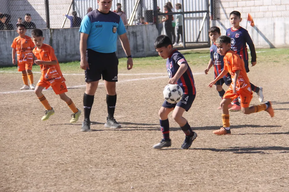 Centro Social Infanto Juvenil Renato Cesarini Olaeta Socialeritas (48)