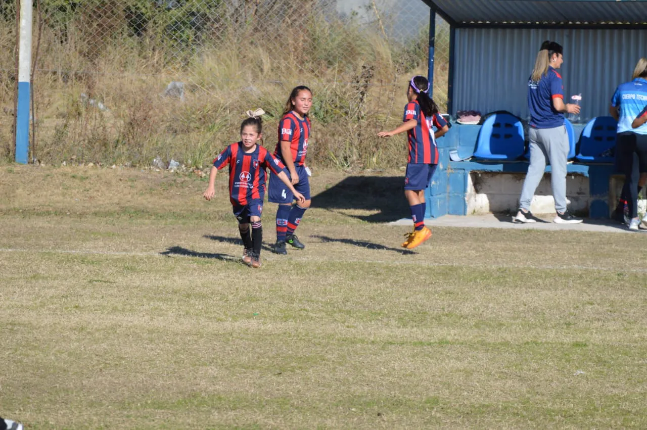 WhatsApp Image 2024-06-10 at 18.52.37