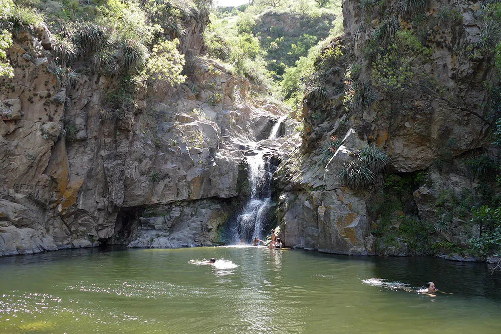 multimedia.normal.9416ac22060dc14e.486f726e696c6c6f7320c2a92056616e696e6120426f636f30303030355f6e6f726d616c2e6a7067