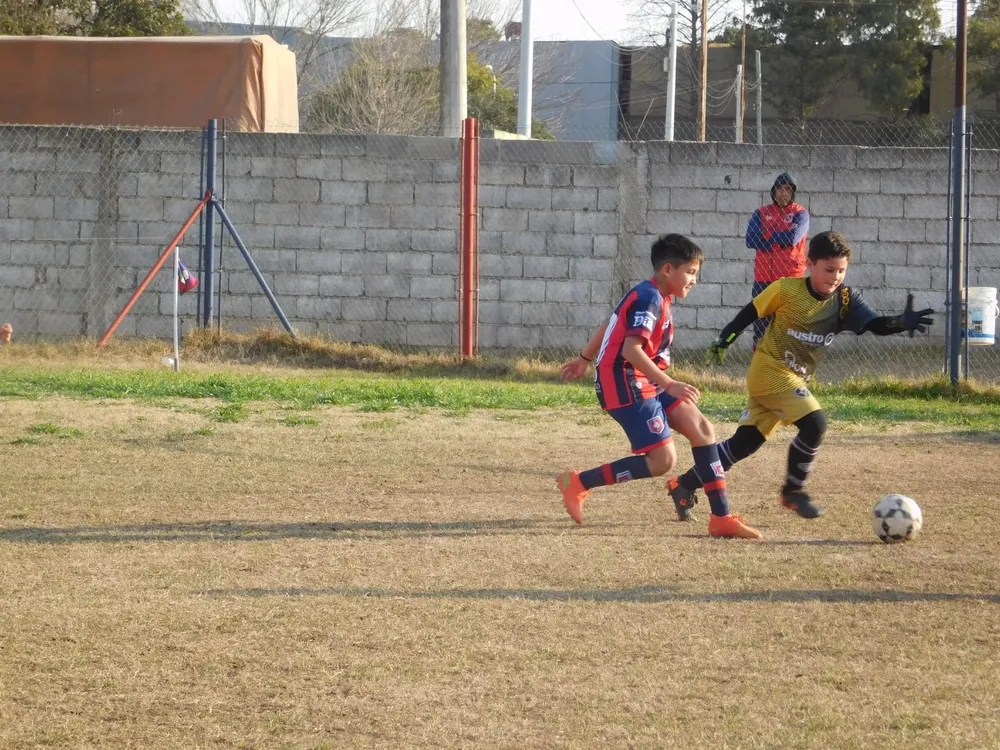 WhatsApp Image 2024-08-19 at 14.54.14 (2)