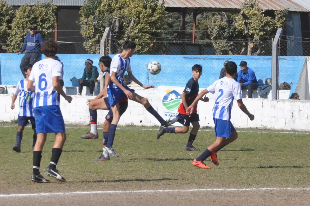 Centro Social Infanto Juvenil Renato Cesarini Olaeta Socialeritas (247)
