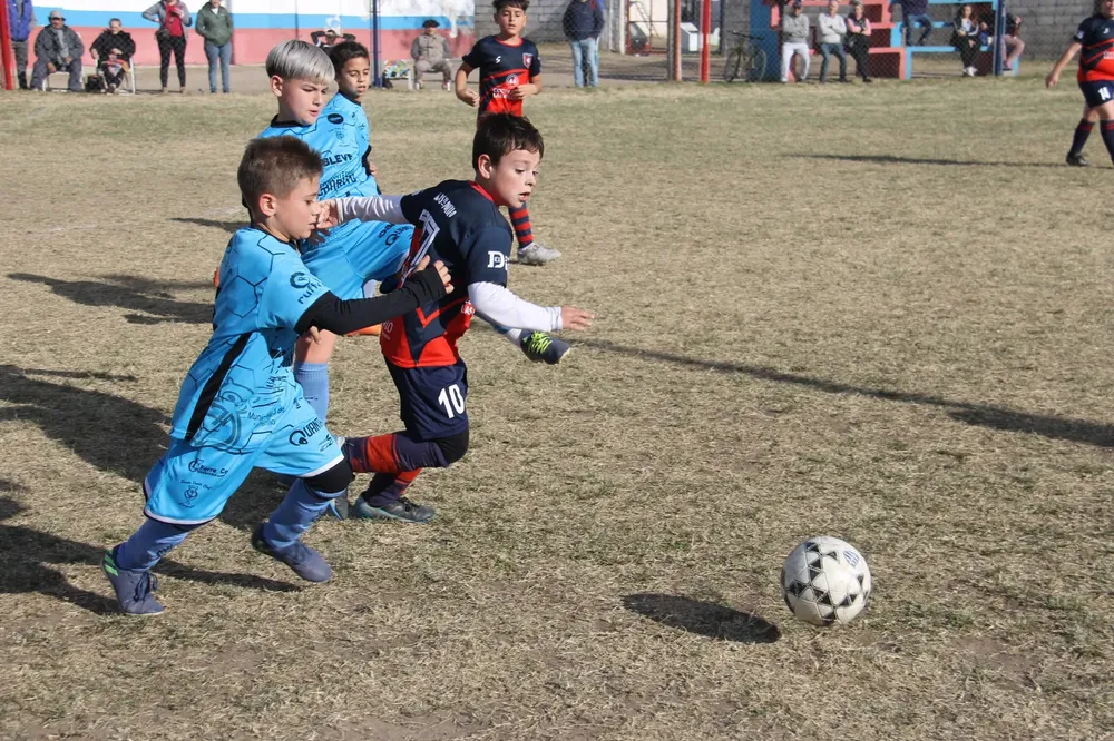 Centro Social San Basilio Santa Paula (263)