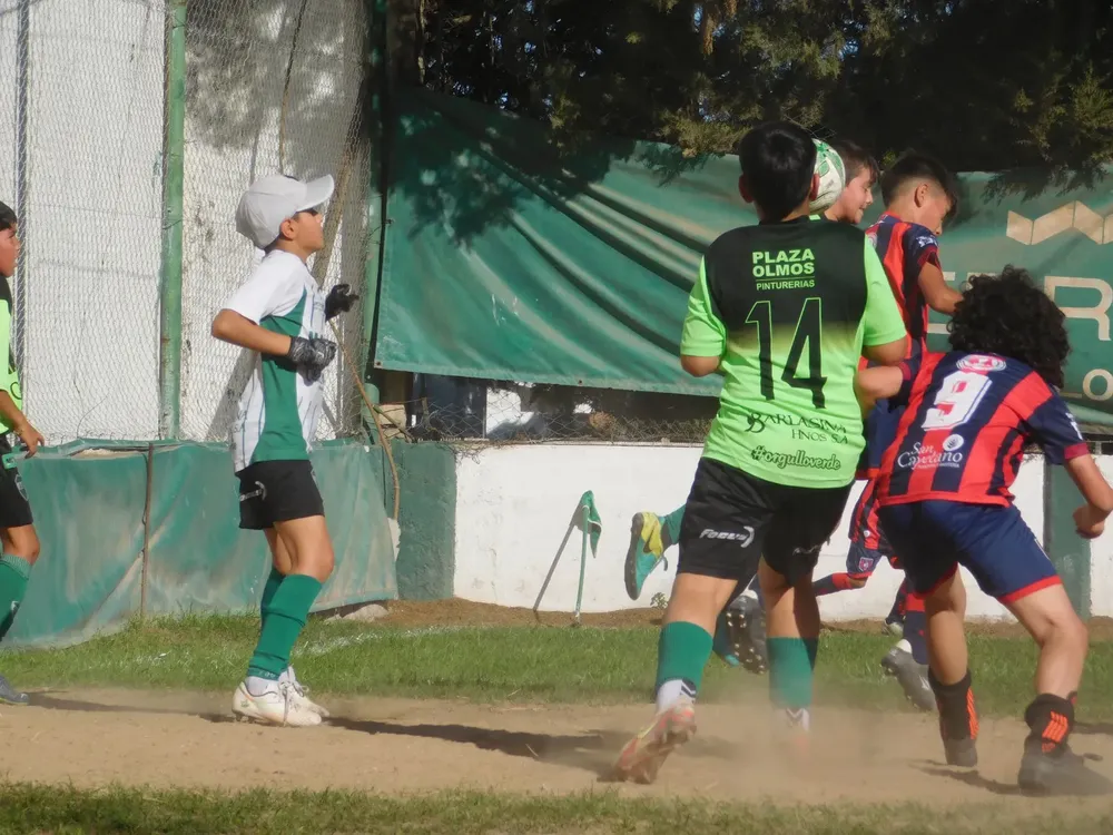 WhatsApp Image 2024-10-28 at 20.16.19 (2)