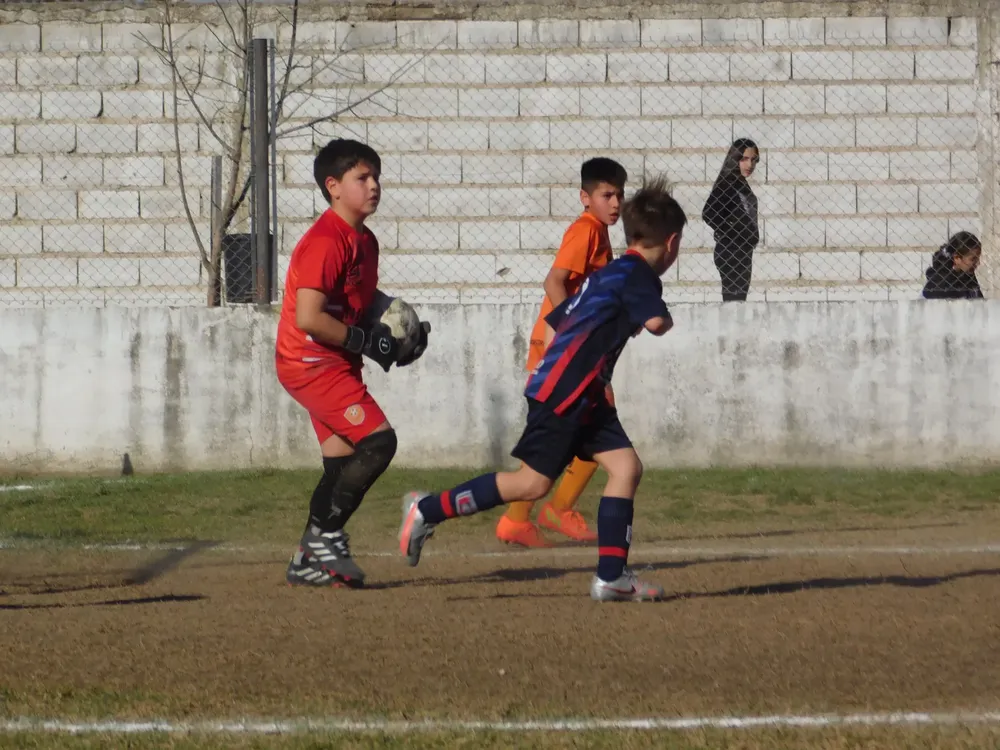 Centro Social Infanto Juvenil Renato Cesarini Olaeta Socialeritas (193)