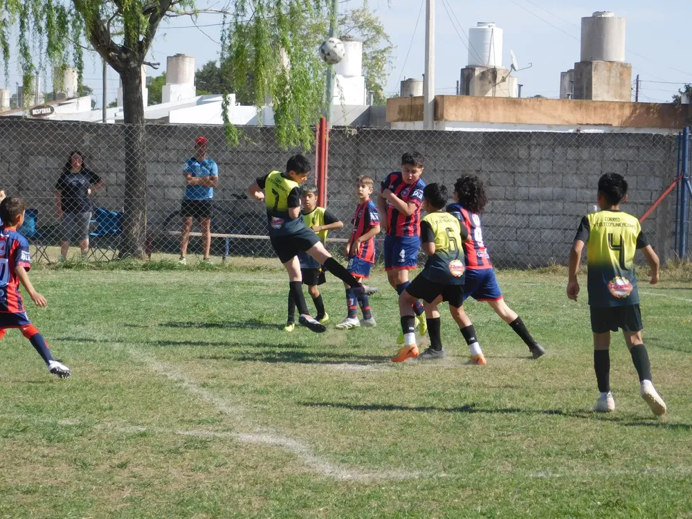 WhatsApp Image 2024-09-29 at 20.26.31 (17)