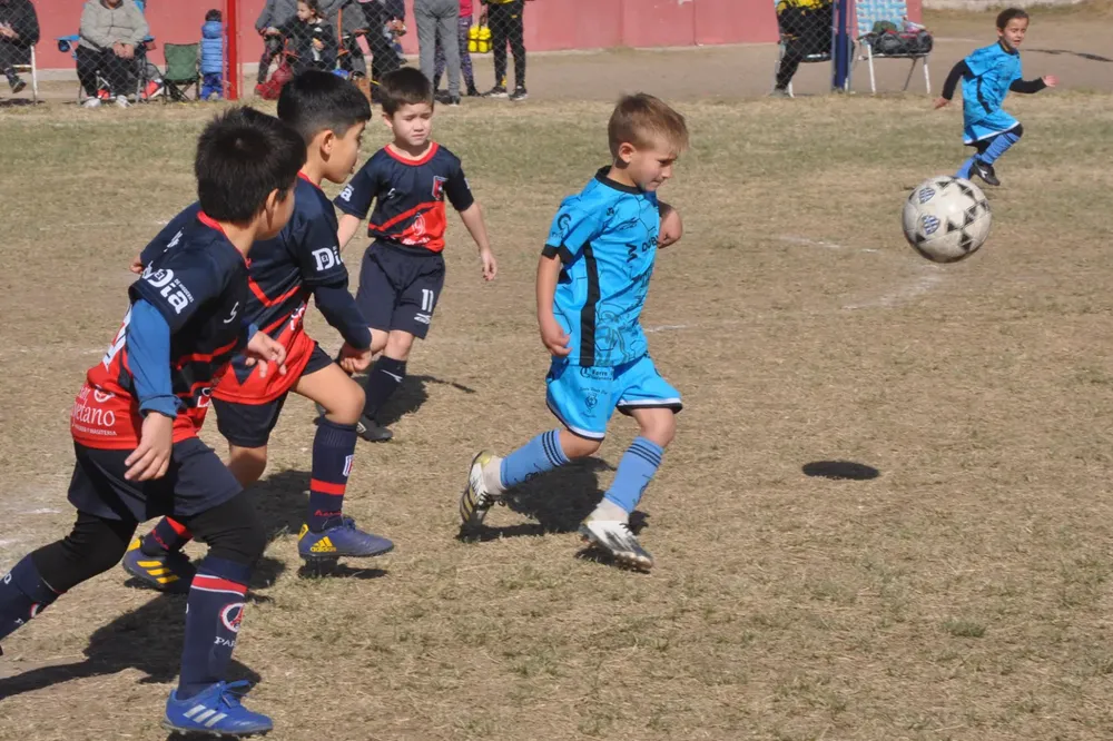 WhatsApp Image 2023-07-02 at 13.33.11 (6)